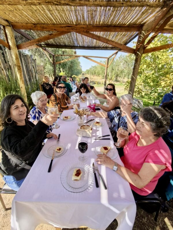 Mendoza & Termas de Cacheuta - Imagen 5