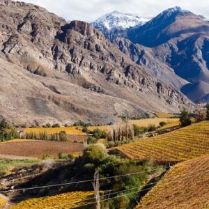 Valle del Elqui & La Serena