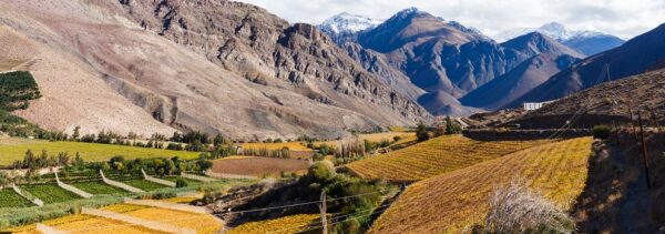 Valle del Elqui & La Serena
