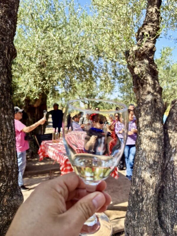 Fiesta de la Vendimia de Mendoza - Imagen 10