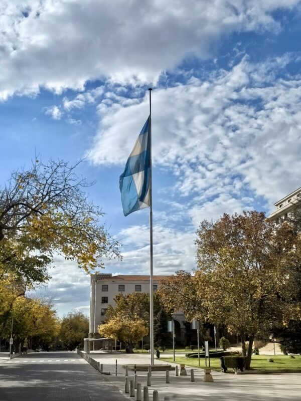 Fiesta de la Vendimia de Mendoza - Imagen 9