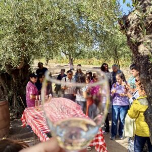Fiesta de la Vendimia de Mendoza