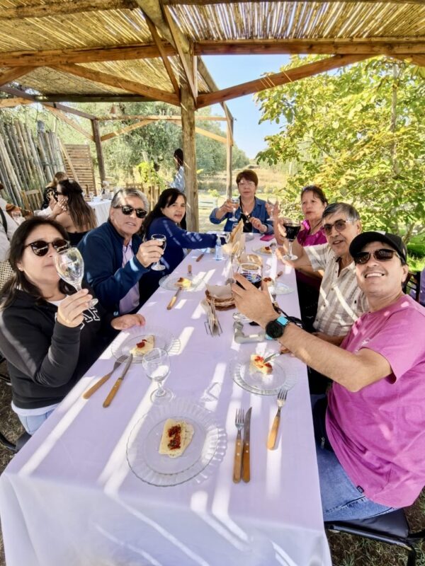 Fiesta de la Vendimia de Mendoza - Imagen 4