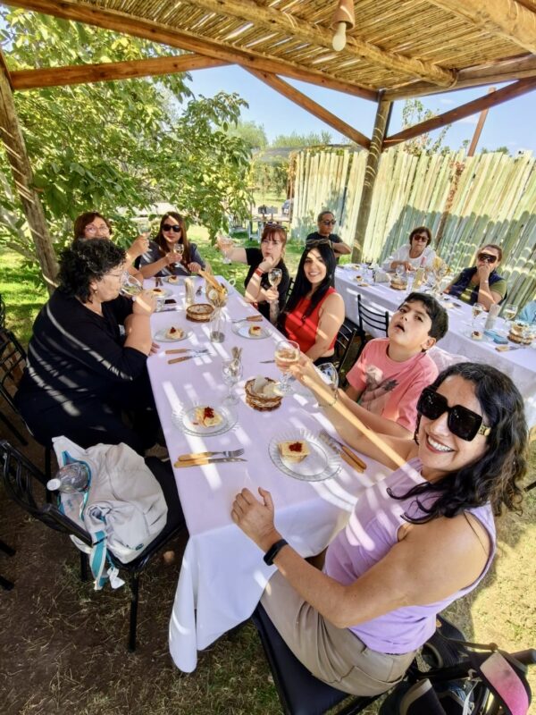 Fiesta de la Vendimia de Mendoza - Imagen 6