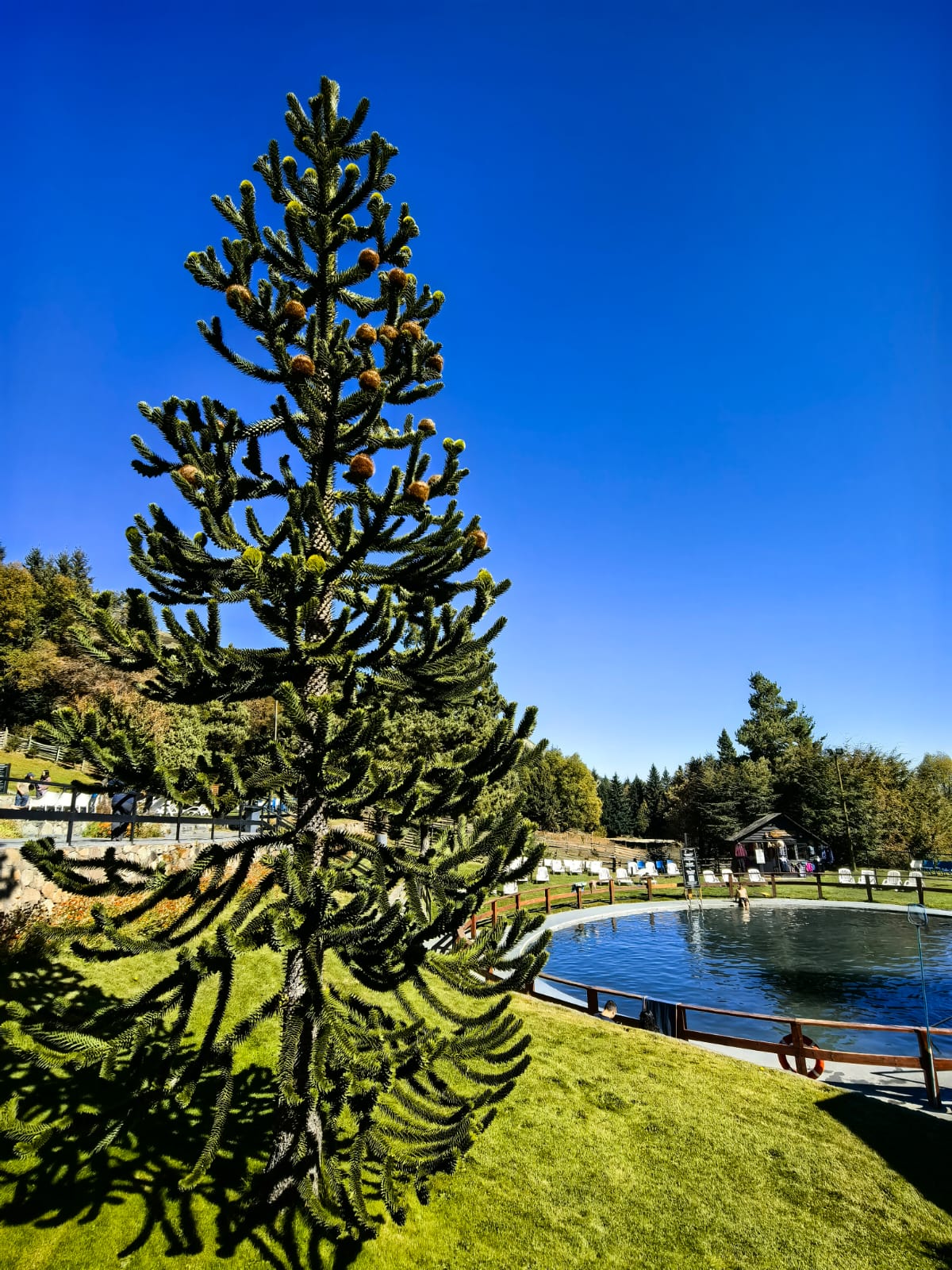 Termas de Chillán Express - Imagen 6