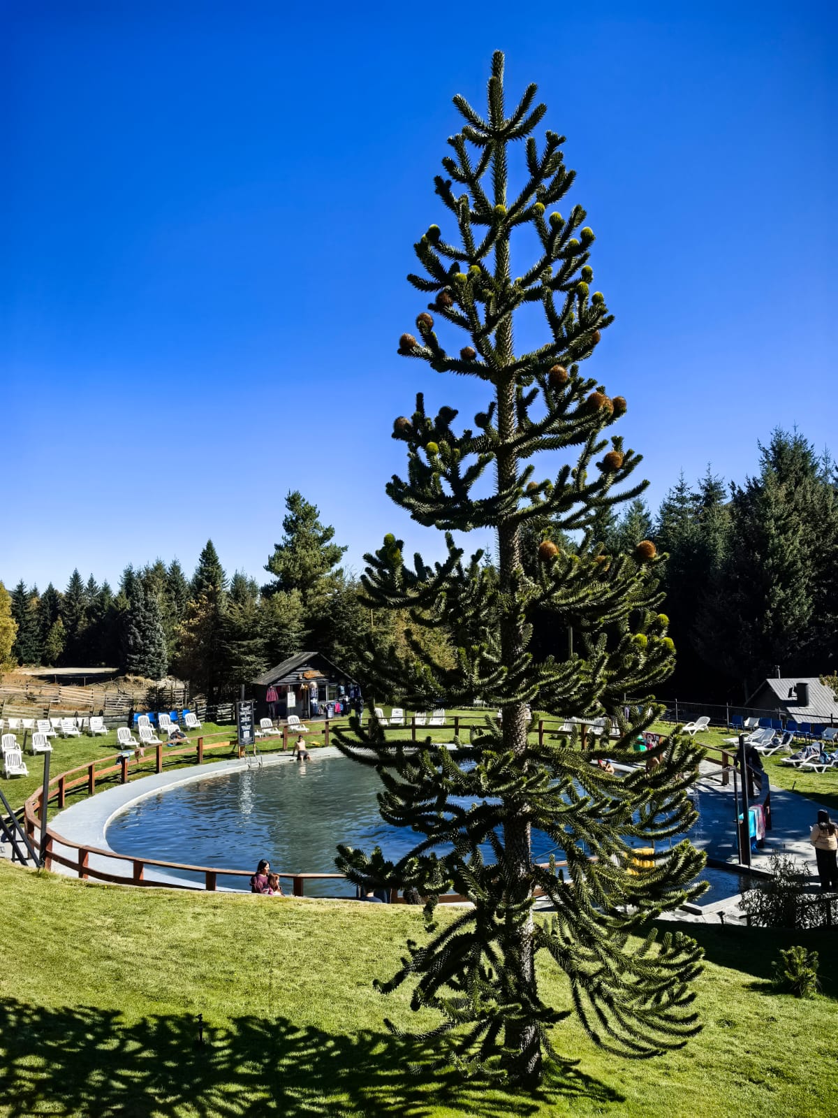 Termas de Chillán Express - Imagen 4
