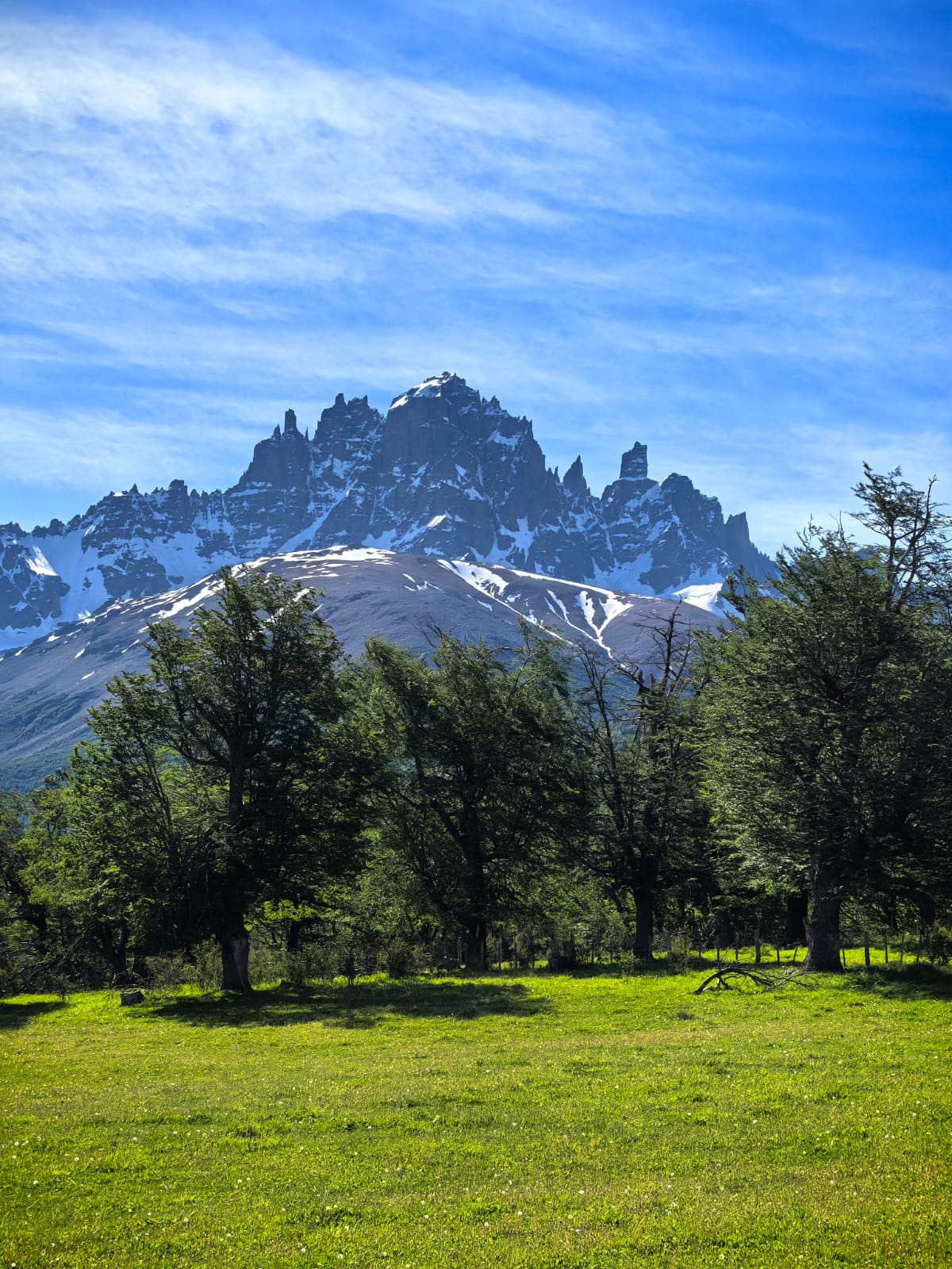 Carretera Austral - Imagen 12