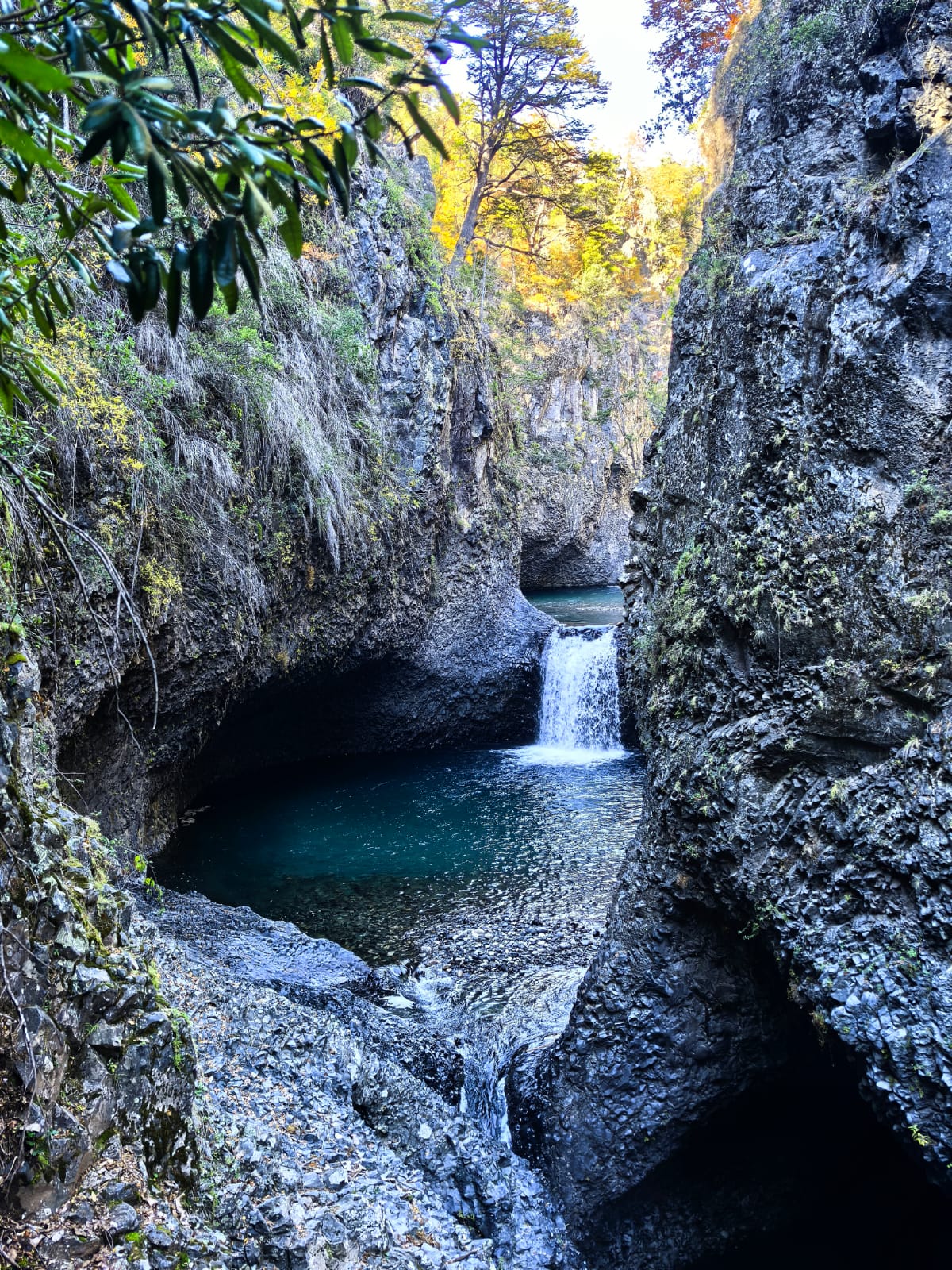 RADAL 7 TAZAS - Imagen 4