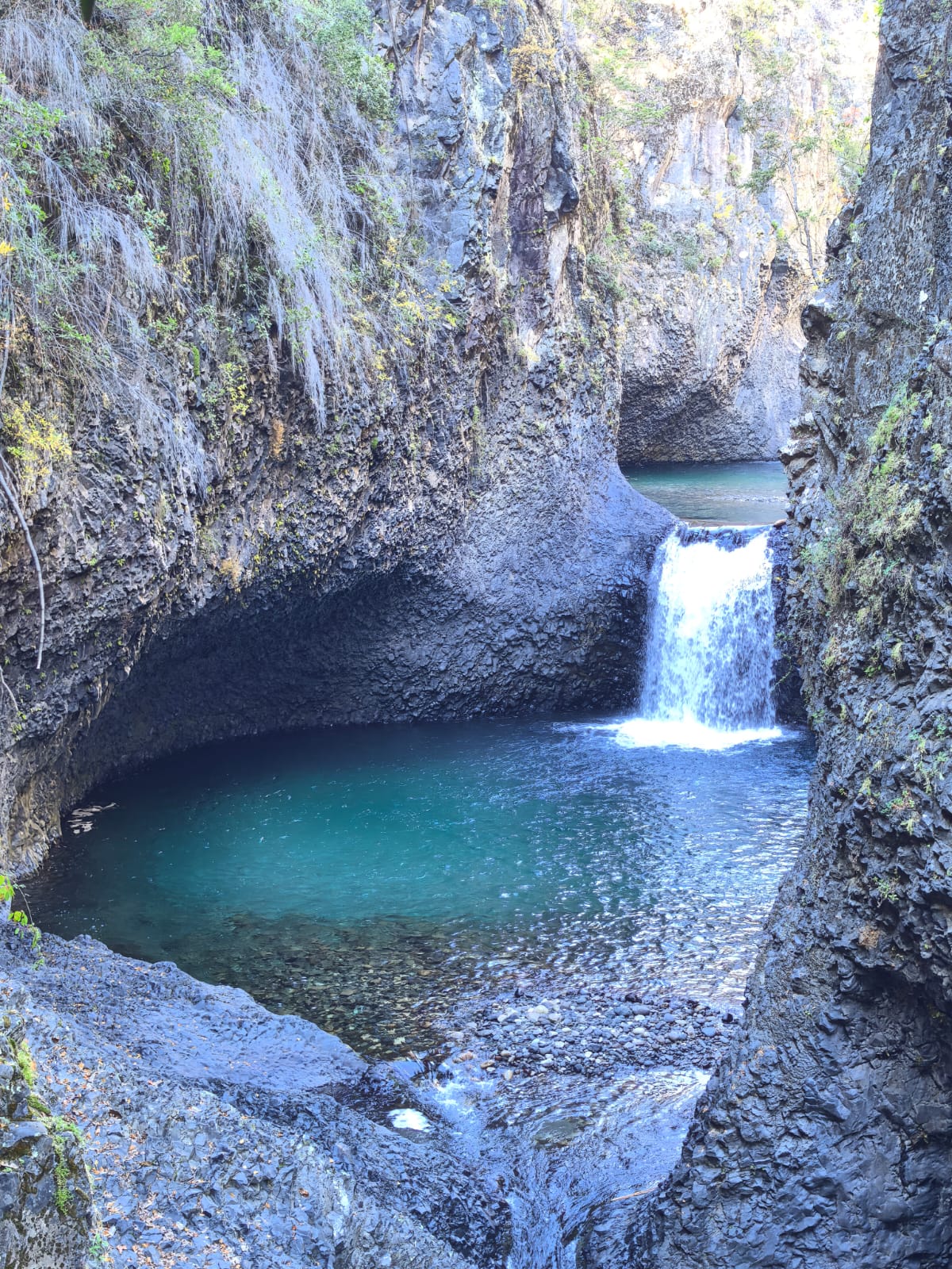RADAL 7 TAZAS - Imagen 5