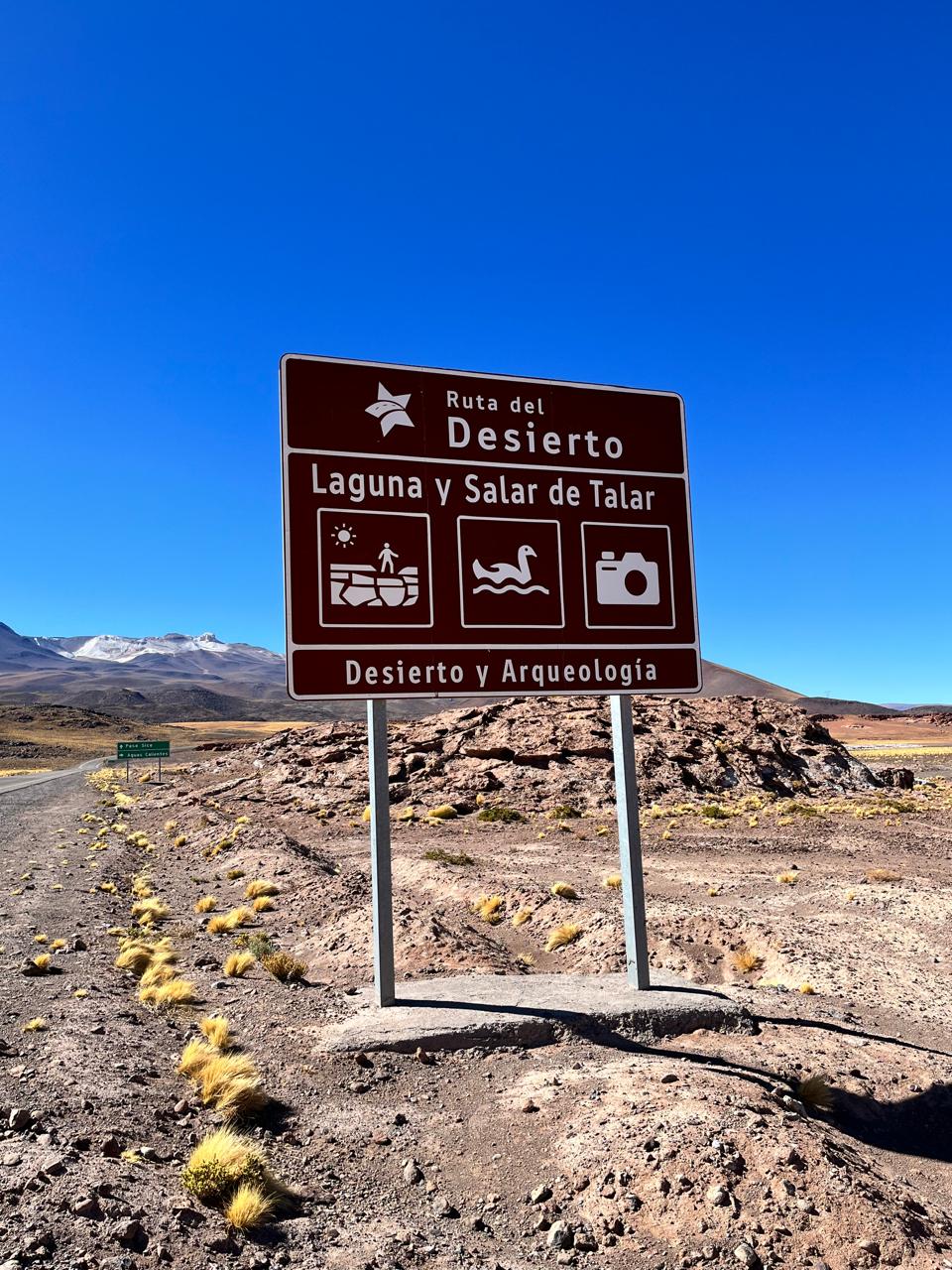 SAN PEDRO DE ATACAMA - Imagen 22