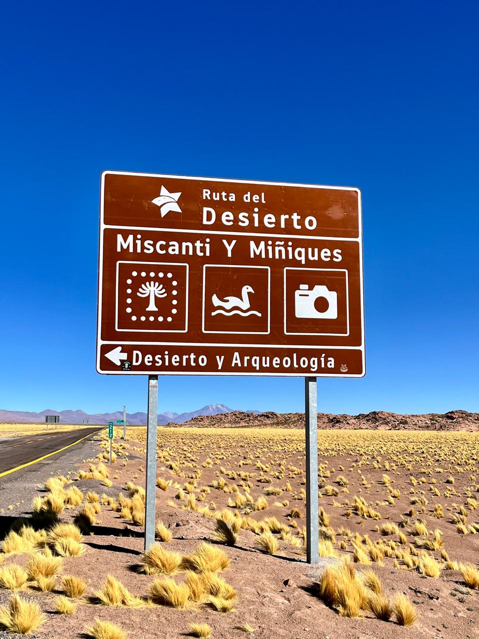 SAN PEDRO DE ATACAMA - Imagen 21