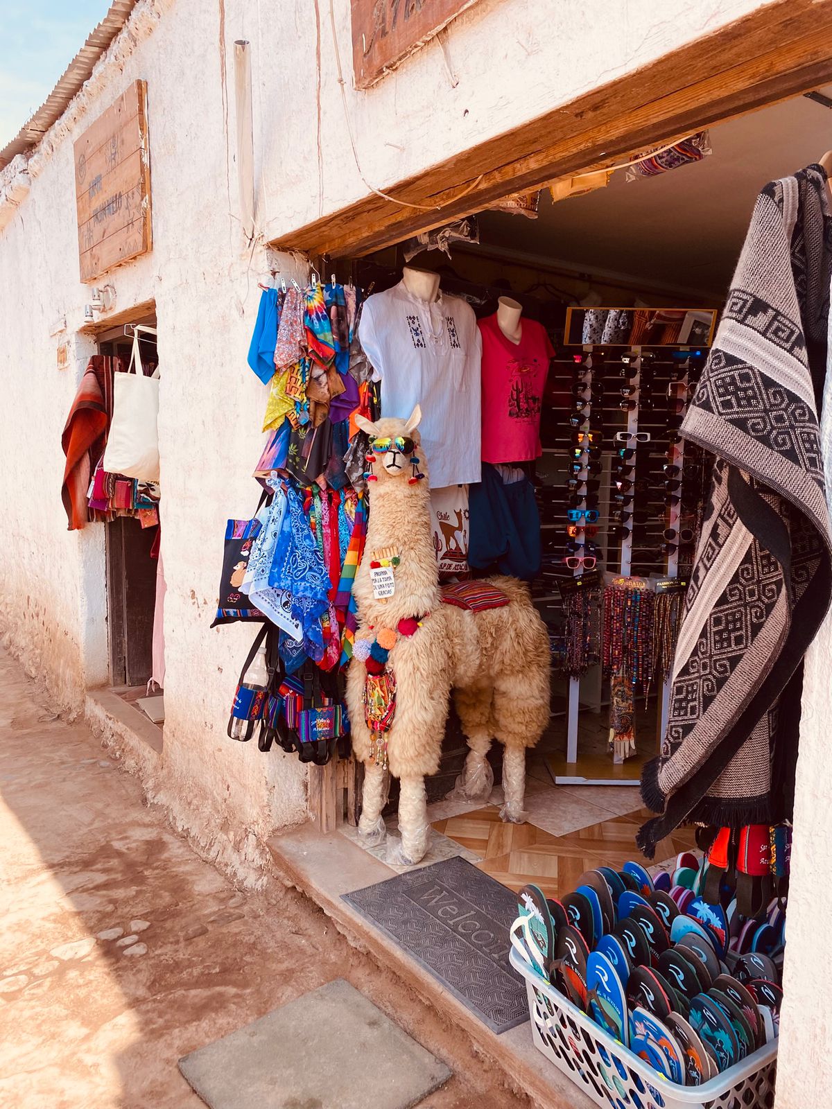 SAN PEDRO DE ATACAMA - Imagen 14