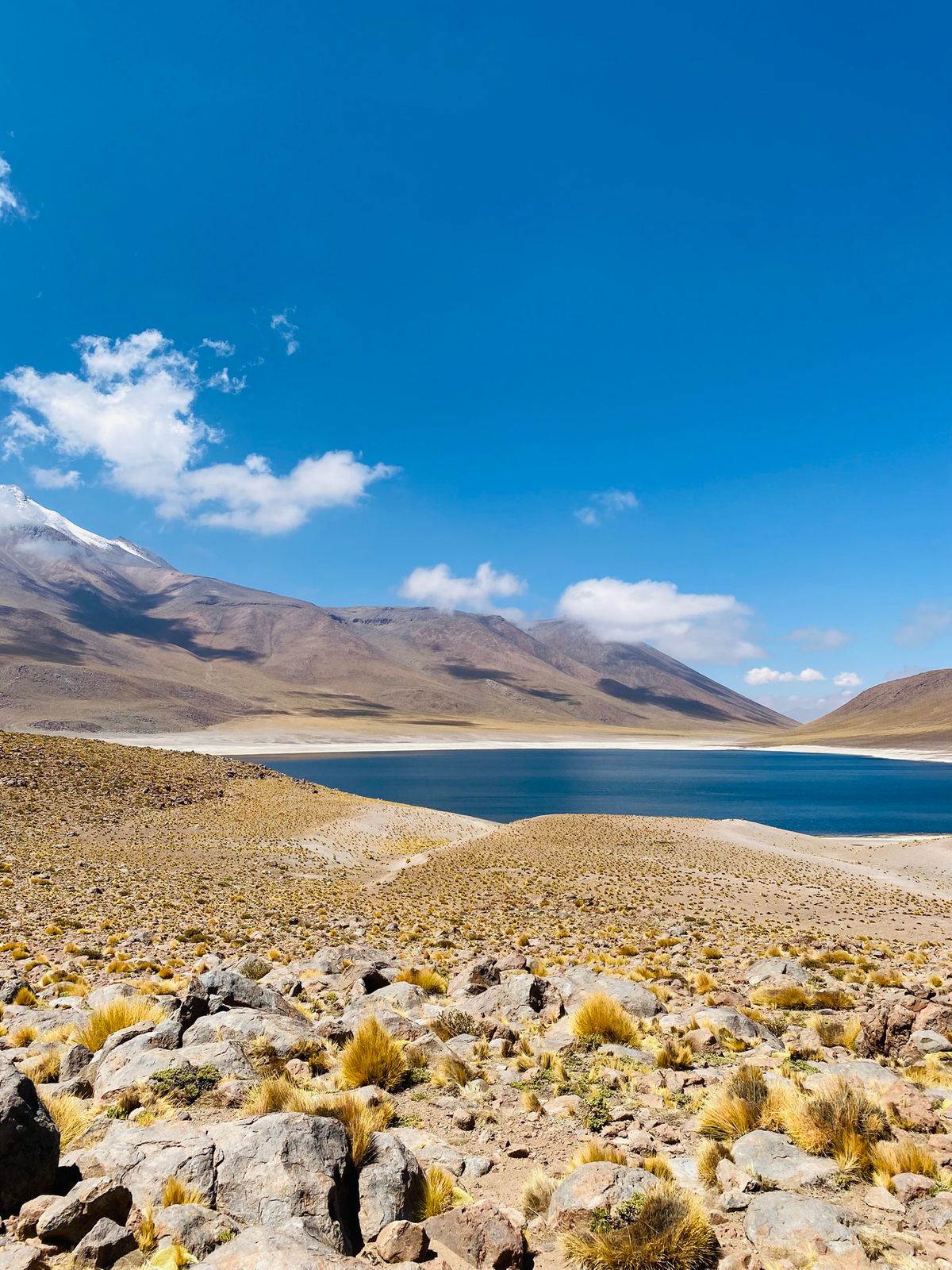 SAN PEDRO DE ATACAMA - Imagen 8
