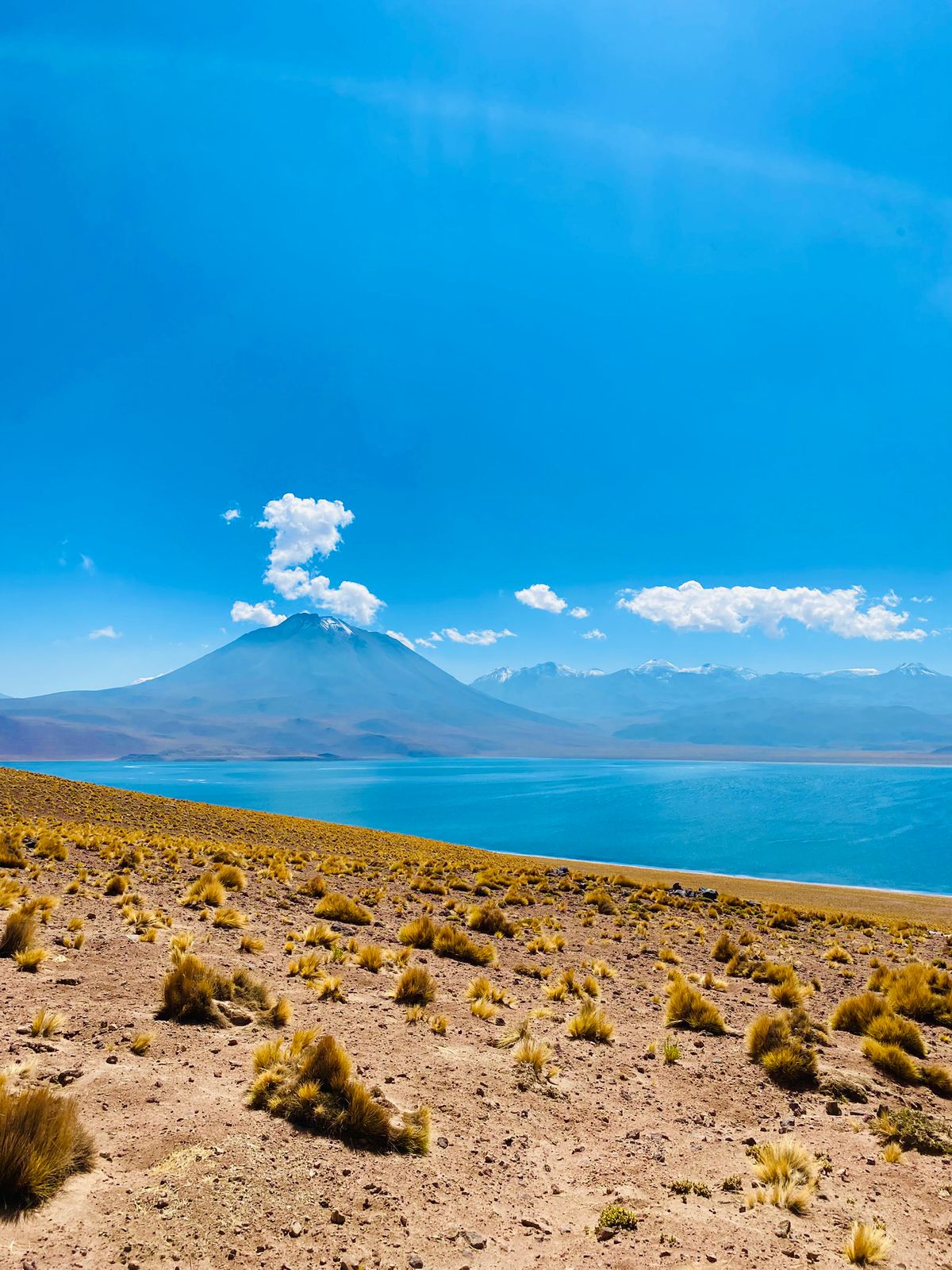 SAN PEDRO DE ATACAMA - Imagen 7